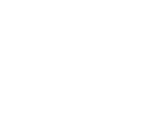 Curly Horses Logo